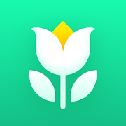 Plant Parent: Plant Care Guide